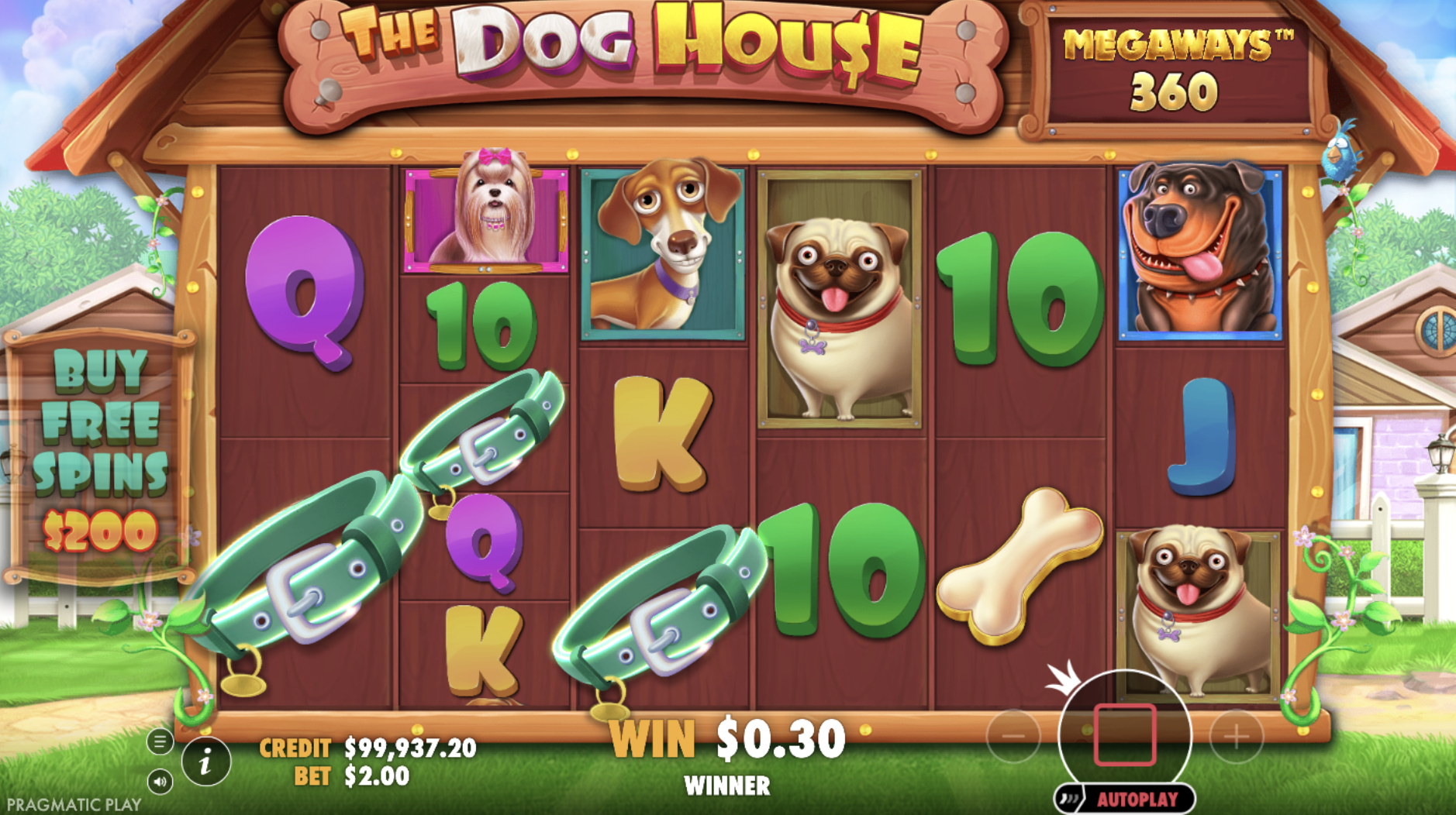 The Dog House® Megaways