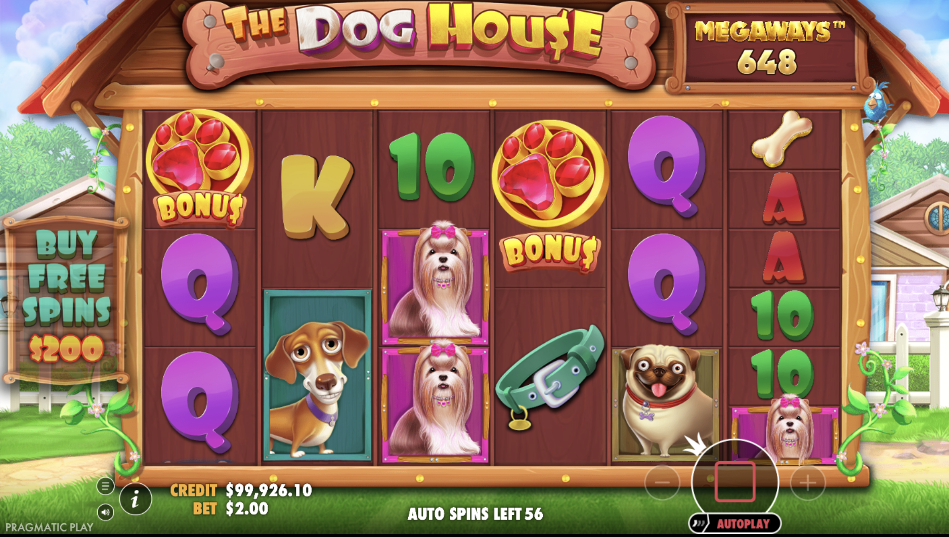 The Dog House® Megaways