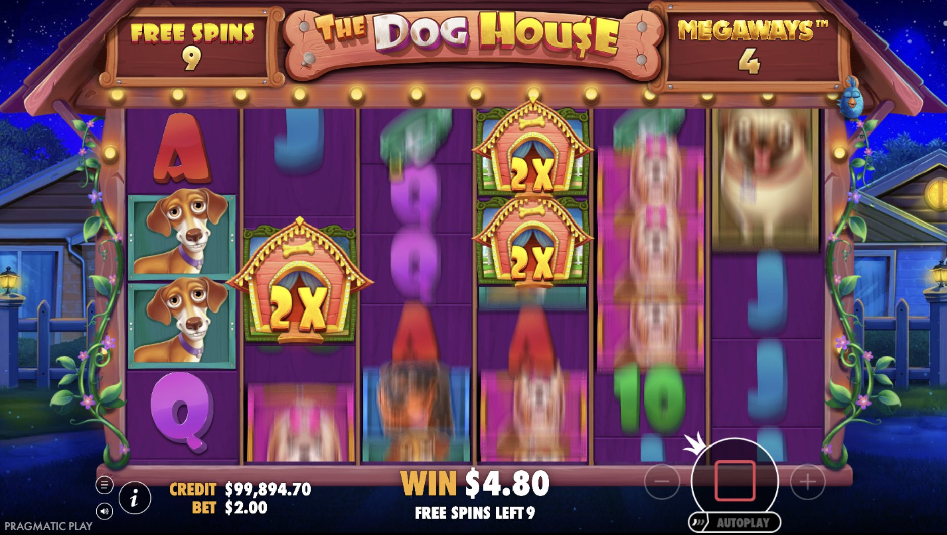 The Dog House® Megaways