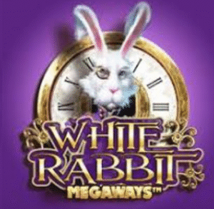 White Rabbit